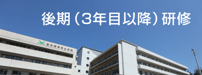 後期(3年目以降)研修